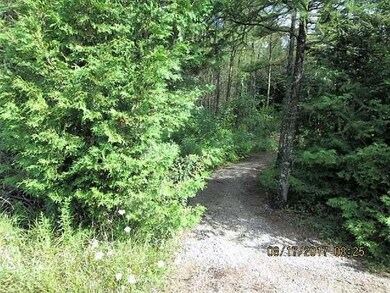 N6235 Anderson Rd, Porterfield, WI 54159 - photo 7