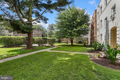 2210 Colston Dr unit 301, Silver Spring, MD 20910 - photo 3