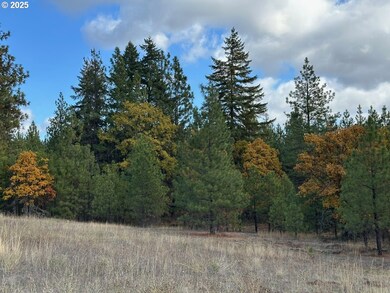 3 Garrison Rd, Goldendale, WA 98620 - photo 4