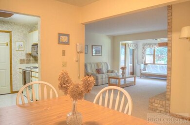 155 Glen Burney Ln unit C2, Blowing Rock, NC 28605 - photo 3