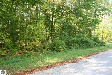 _ E Cherry Ln, Cedar, MI 49621 - photo 4