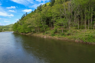 0 Perkins Rd unit 11563868, Hancock, NY 13783 - photo 5