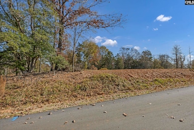 0 Lands Ends Ln unit 622660, Prosperity, SC 29127 - photo 3