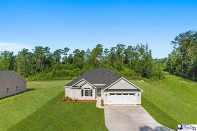 498 Cane Branch Rd, Loris, SC 29569 - photo 2