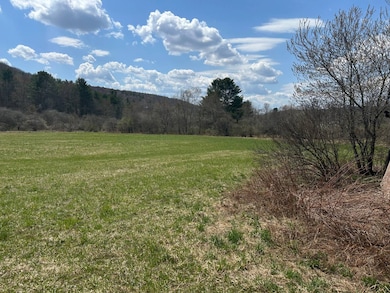 0 Houghtaling Hollow Rd unit 11452107, East Meredith, NY 13757 - photo 4