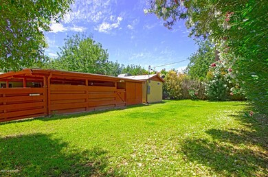 Backyard (1)