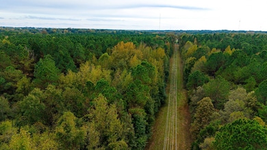 00 Hwy 12 W, Kosciusko, MS 39090 - photo 4