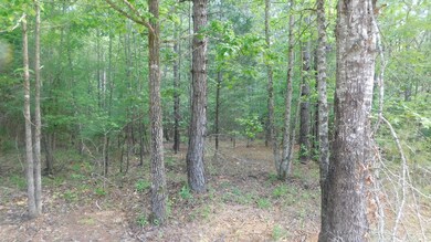 2112 Loco Church Rd, Lincolnton, GA 30817 - photo 6