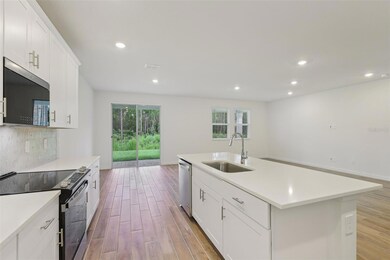 58 Wandering Creek Way, Palm Coast, FL 32164 - photo 2