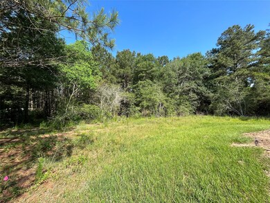 22091 Bryantwood Ct, Hockley, TX 77447 - photo 2