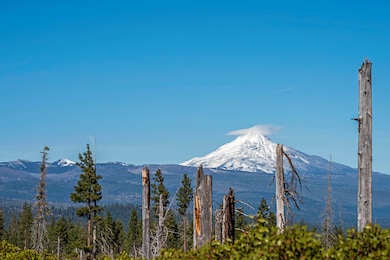 70390 Mcallister Rd unit Parcel 1, Sisters, OR 97759 - photo 5