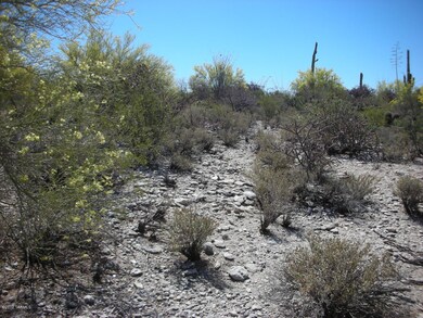 0 E Vía Alcalde unit 2 21211389, Catalina Foothills, AZ 85718 - photo 4