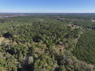 0 Canal St, Ringgold, LA 71068 - photo 4