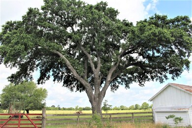 33939 Baethe Rd, Waller, TX 77484 - photo 4