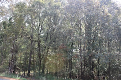 0 Smith Rd unit 25130754, Hernando, MS 38632 - photo 2