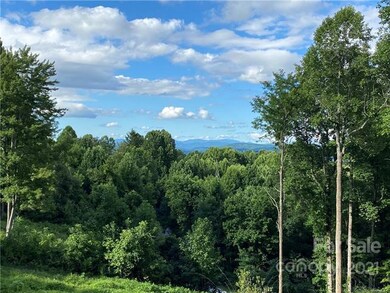 View from the side porch