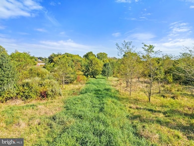 0 Cedar Creek Grade unit VAFV2036934, Winchester, VA 22602 - photo 5