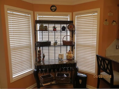 13 Taylor Ridge Ct, Johnson City, TN 37601 - photo 5