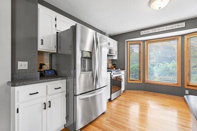 3724 123rd Ln NW, Coon Rapids, MN 55433 - photo 3