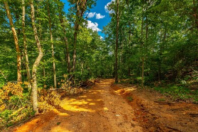 0 Clearview Dr unit RTC2683557, Ringgold, GA 30736 - photo 4