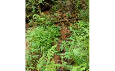 000 Big Creek Rd, Ellijay, GA 30540 - photo 6