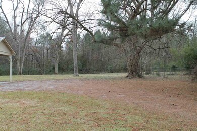 View from Front Yard