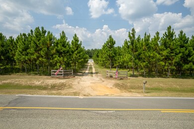 606 Greggs Rd, Adel, GA 31620 - photo 5