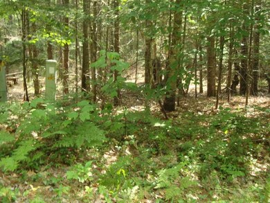 Lot 2 Harris unit 2, Thornton, NH 03223 - photo 6