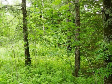 Land.