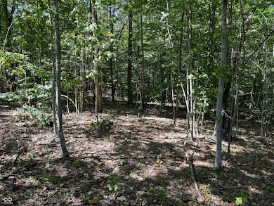 0000 S Big Springs Rd, New Pekin, IN 47165 - photo 5