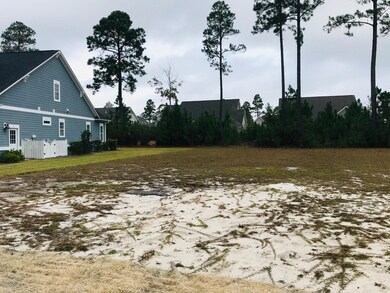 1261 Cross Water Cir, Leland, NC 28451 - photo 4