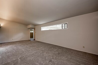 Another view of the living room. Note the new carp