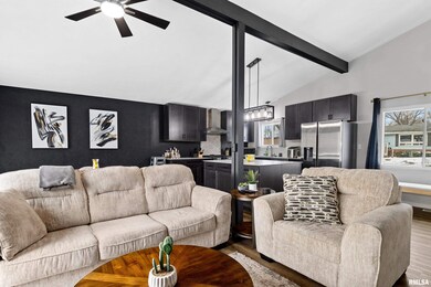 1720 W Willow Wood Dr, Peoria, IL 61614 - photo 5