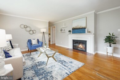 7903 Wellington Rd, Alexandria, VA 22308 - photo 5