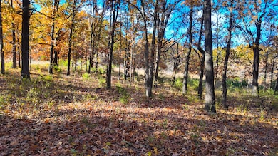 0000 County Road 64, Wheatland, MO 65779 - photo 7