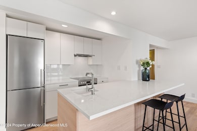 119 E Cooper Ave unit 26, Aspen, CO 81611 - photo 5