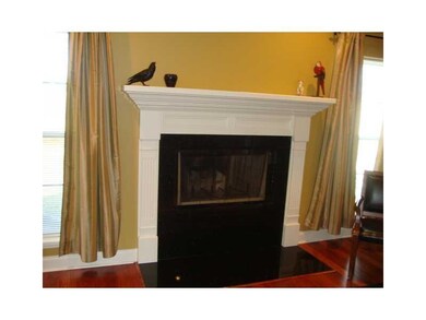 Other. Fireplace