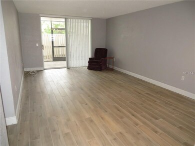 Large (13 x 22) Living Area