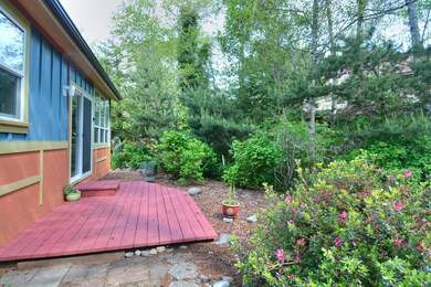 Back Yard.