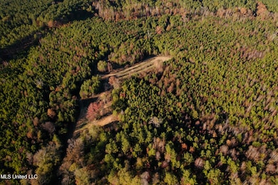 0 County Road 4210, Sallis, MS 39160 - photo 3