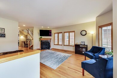 244 N Addison Ave, Elmhurst, IL 60126 - photo 5