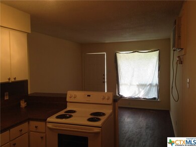 1241 N Lbj Dr unit B, San Marcos, TX 78666 - photo 3