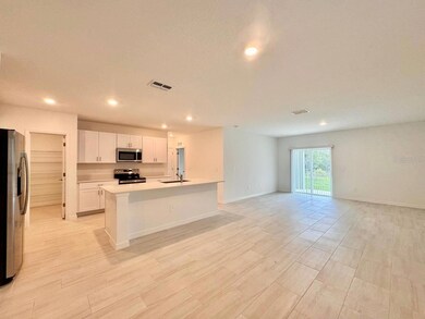 17554 Pleasantview Blvd, Land O' Lakes, FL 34638 - photo 5