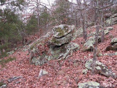 0 S Buffalo Rd unit 2300542, Stuart, OK 74570 - photo 6