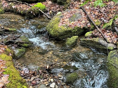 55 Main St, Alstead, NH 03602 - photo 3