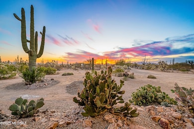 33977 S Twin Hawk Ln, Marana, AZ 85658 - photo 7