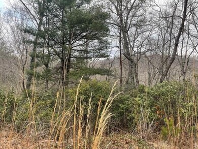 00 Sanderling Ct unit 325, Lake Lure, NC 28746 - photo 5