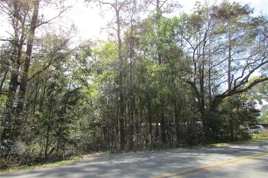 11302 SW 186th Cir, Dunnellon, FL 34432 - photo 4
