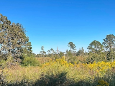 0 Hickory Grove Rd, Sumrall, MS 39482 - photo 3