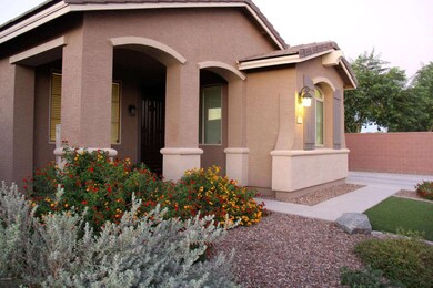 98 W Sweet Shrub Ave, San Tan Valley, AZ 85140 - photo 3